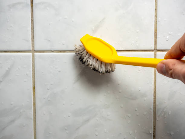 Best Toxic Mold Removal  in Greenfield, OH