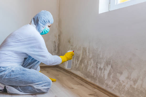 Mold Testing and Removal in Greenfield, OH
