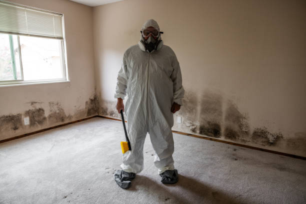 Office Mold Removal Services in Greenfield, OH